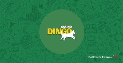 Dingo casino Honduras